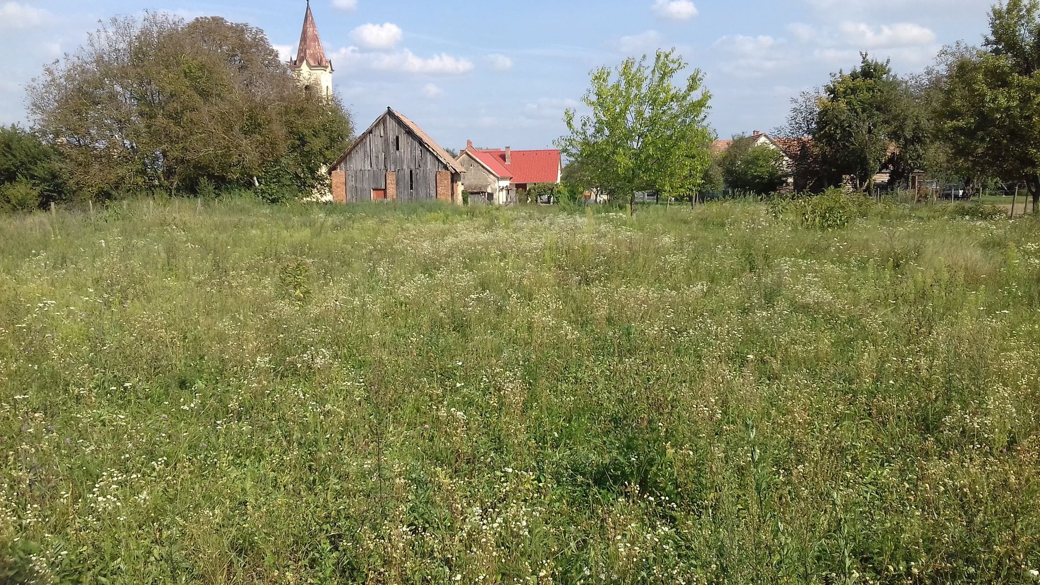 Merenye te huur – ruime woning met 2 woonheden en grote grond #1602 - Image 18