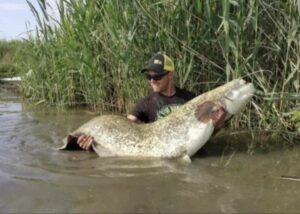 434698898_925488052365644_8538357566863678136_n-300x214