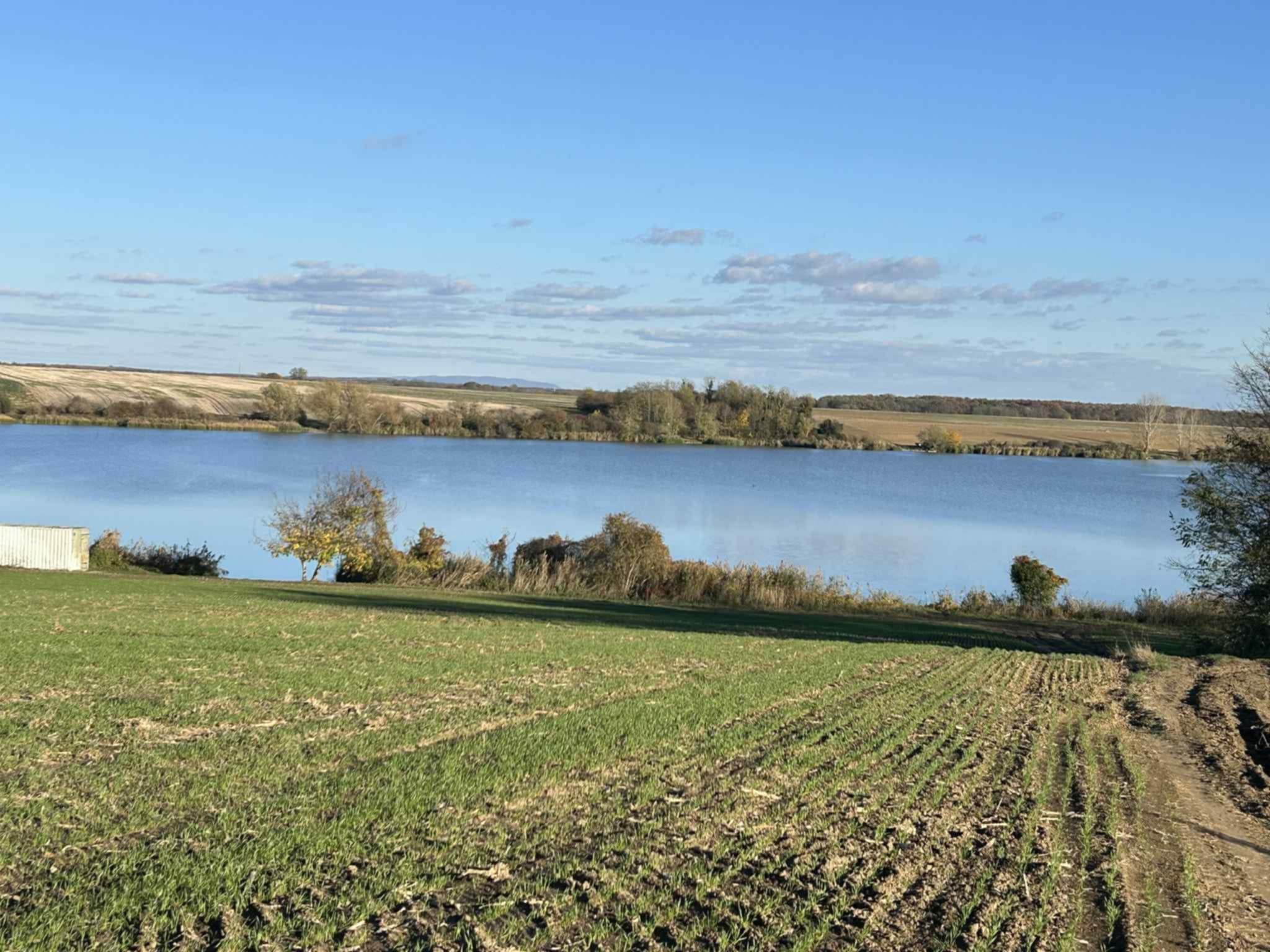 4be81aac-74a0-4c11-8e98-38e9274480c8