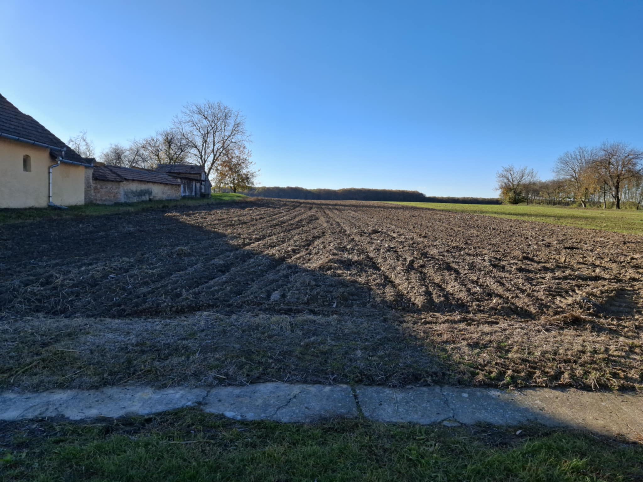 81919290-183c-4b78-87bc-73a51357eef9