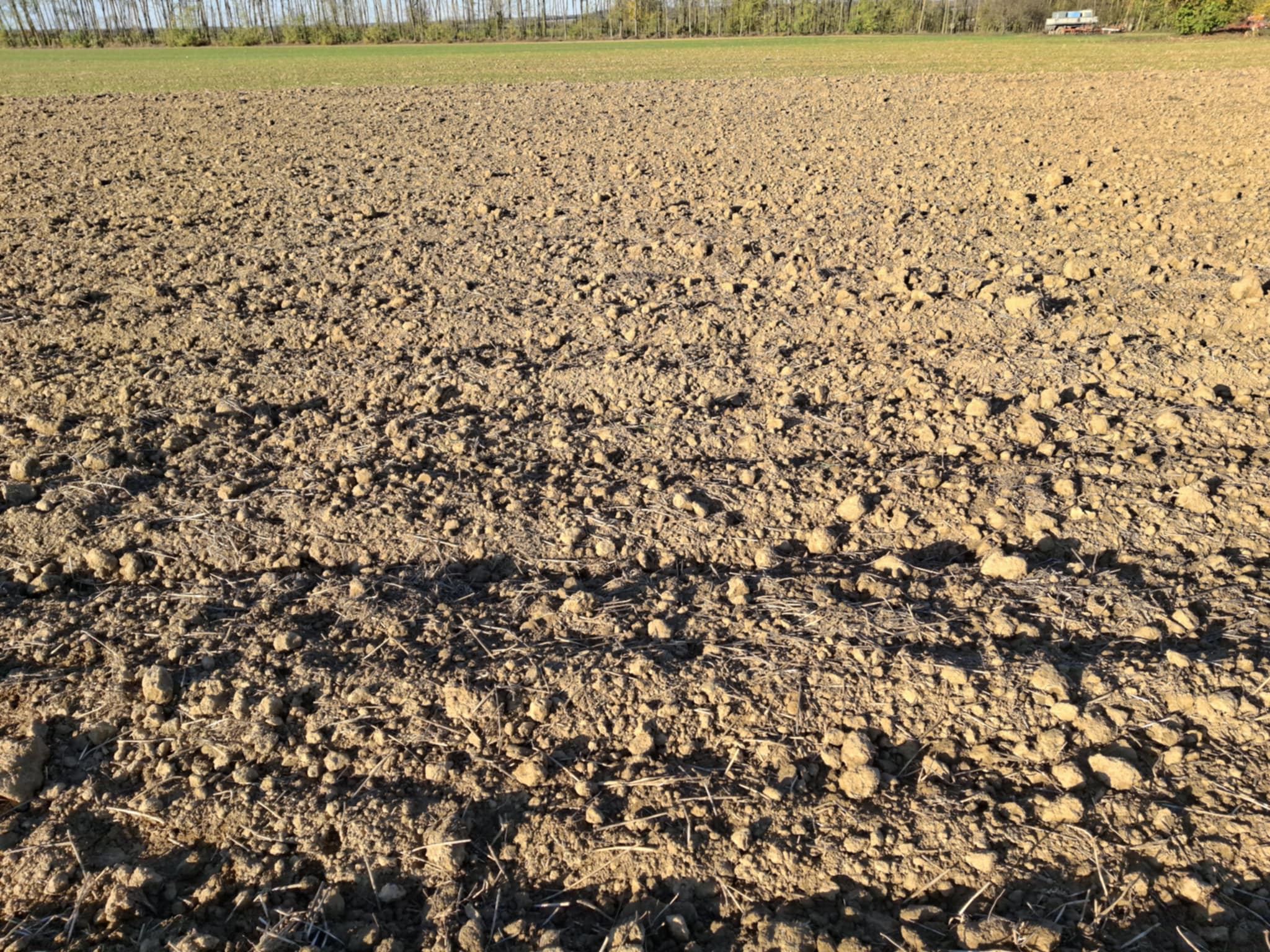 96007b61-181b-4dba-8c72-7951609416dc