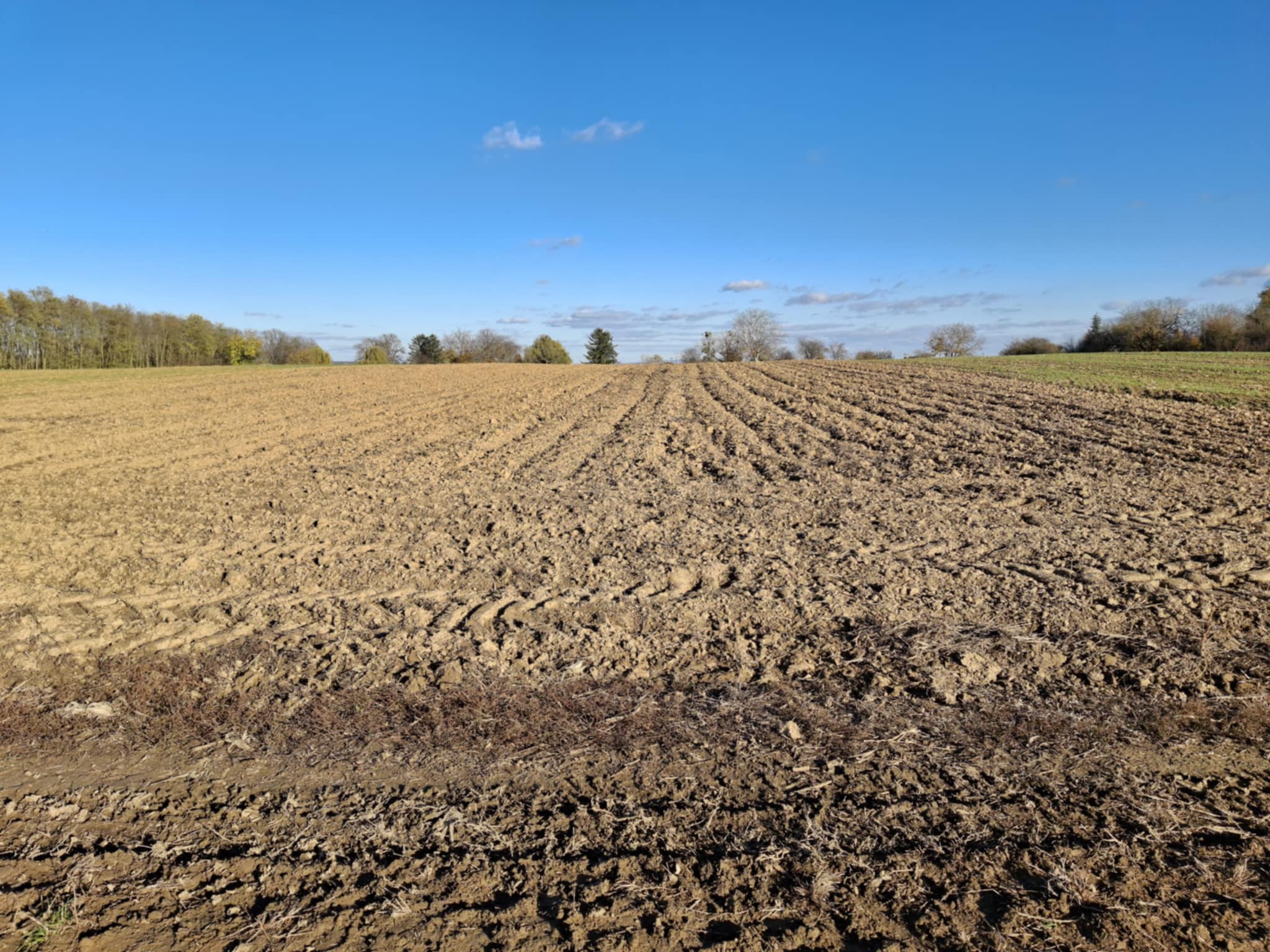 b6555a12-9a5b-46ae-8c44-d84c45b421b2