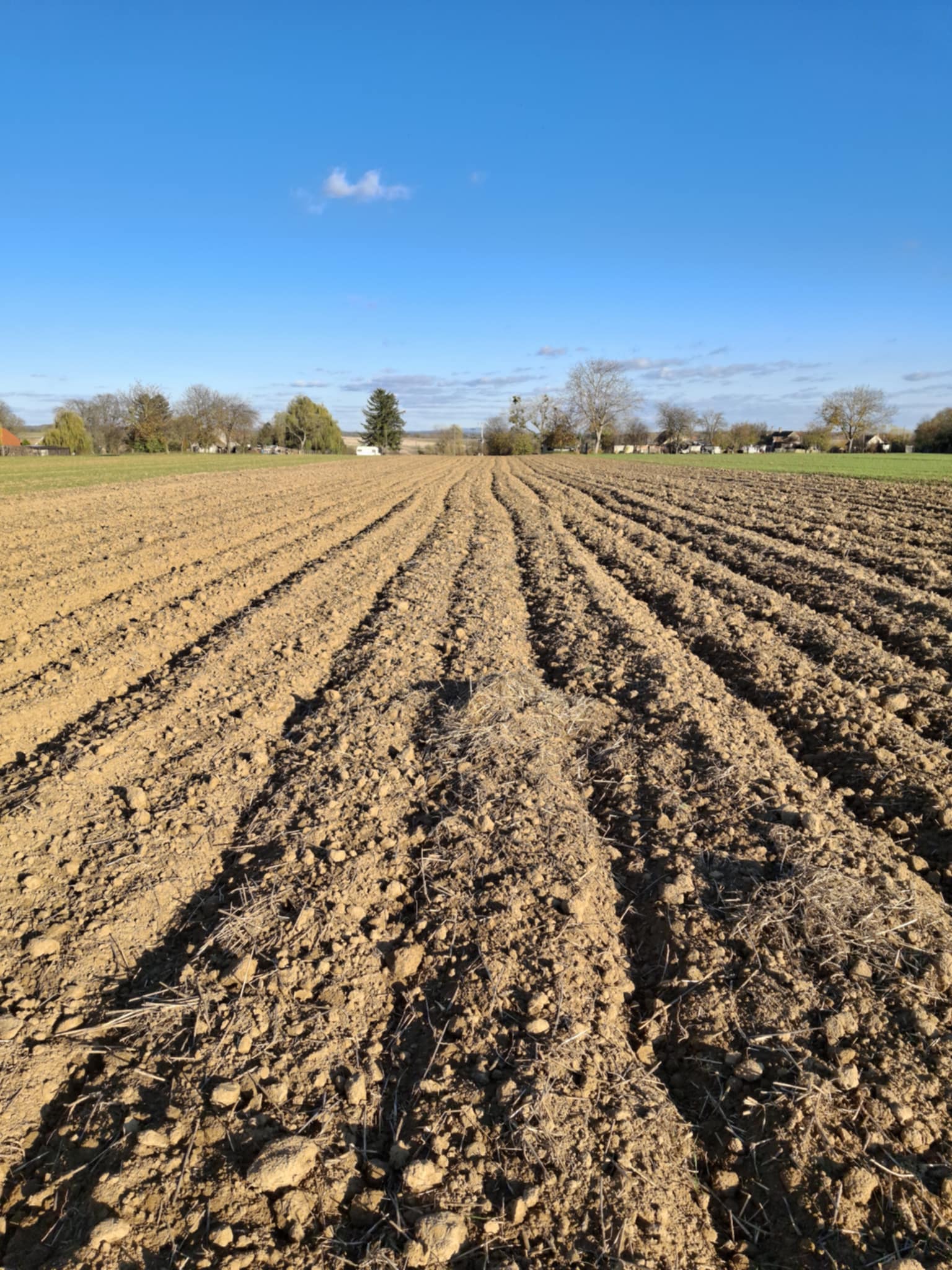 e49e89ce-89b5-4659-917f-d66c58807d25