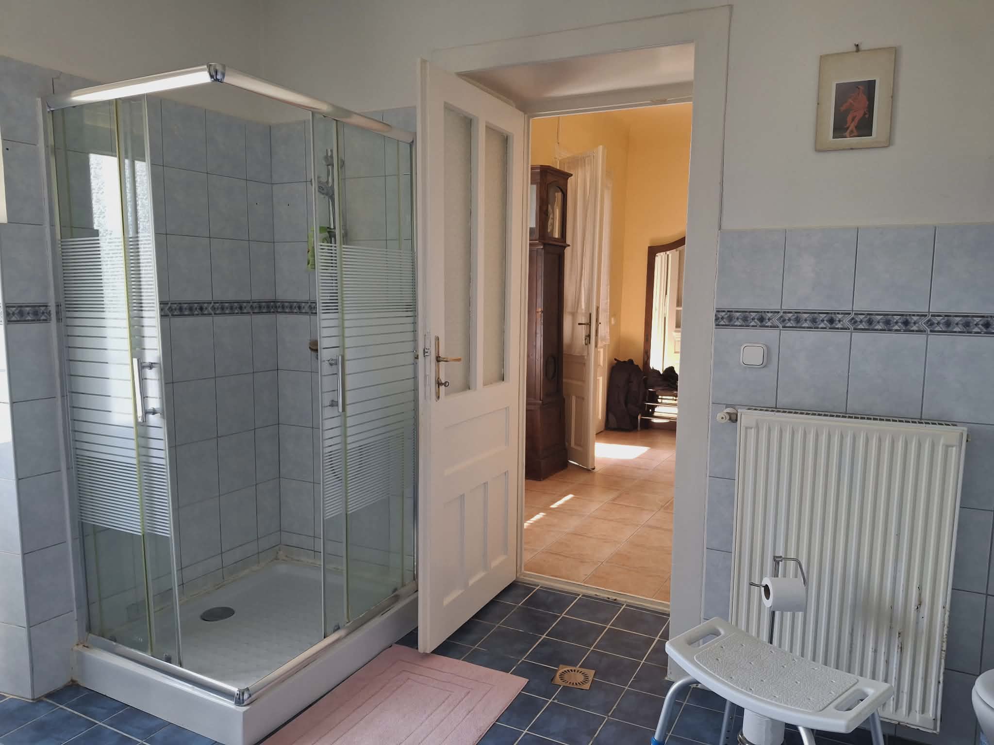 Mágocs Tanyawoning met gastenverblijf #1580 - Image 16