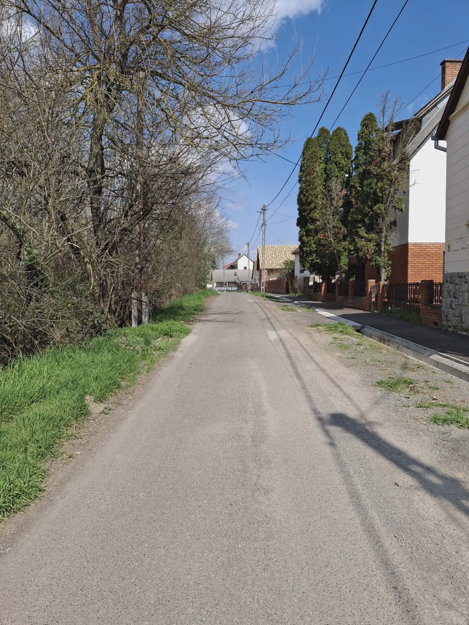 Mágocs Tanyawoning met gastenverblijf #1580 - Image 39