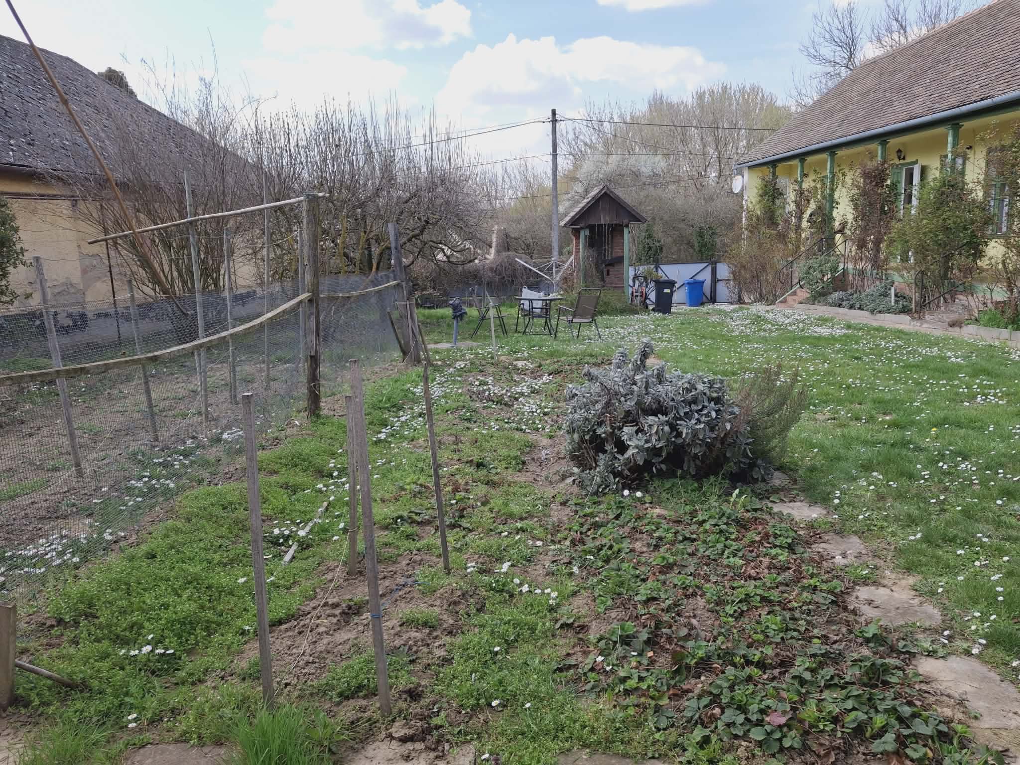 Mágocs Tanyawoning met gastenverblijf #1580 - Image 31