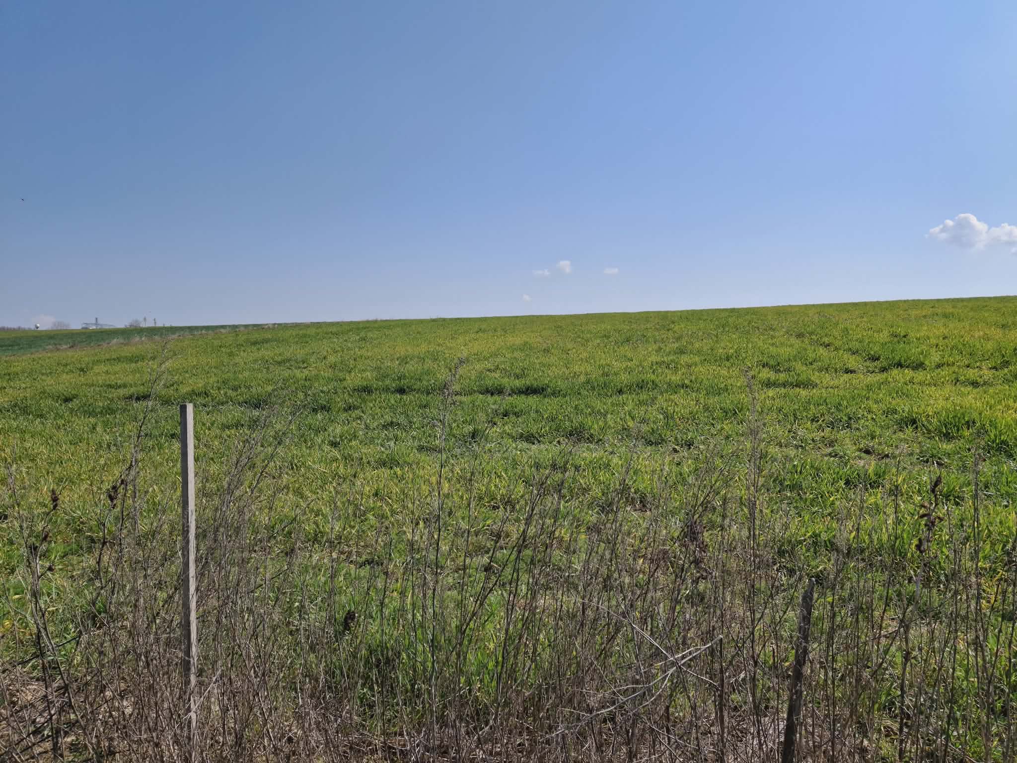 Mágocs Tanyawoning met gastenverblijf #1580 - Image 34