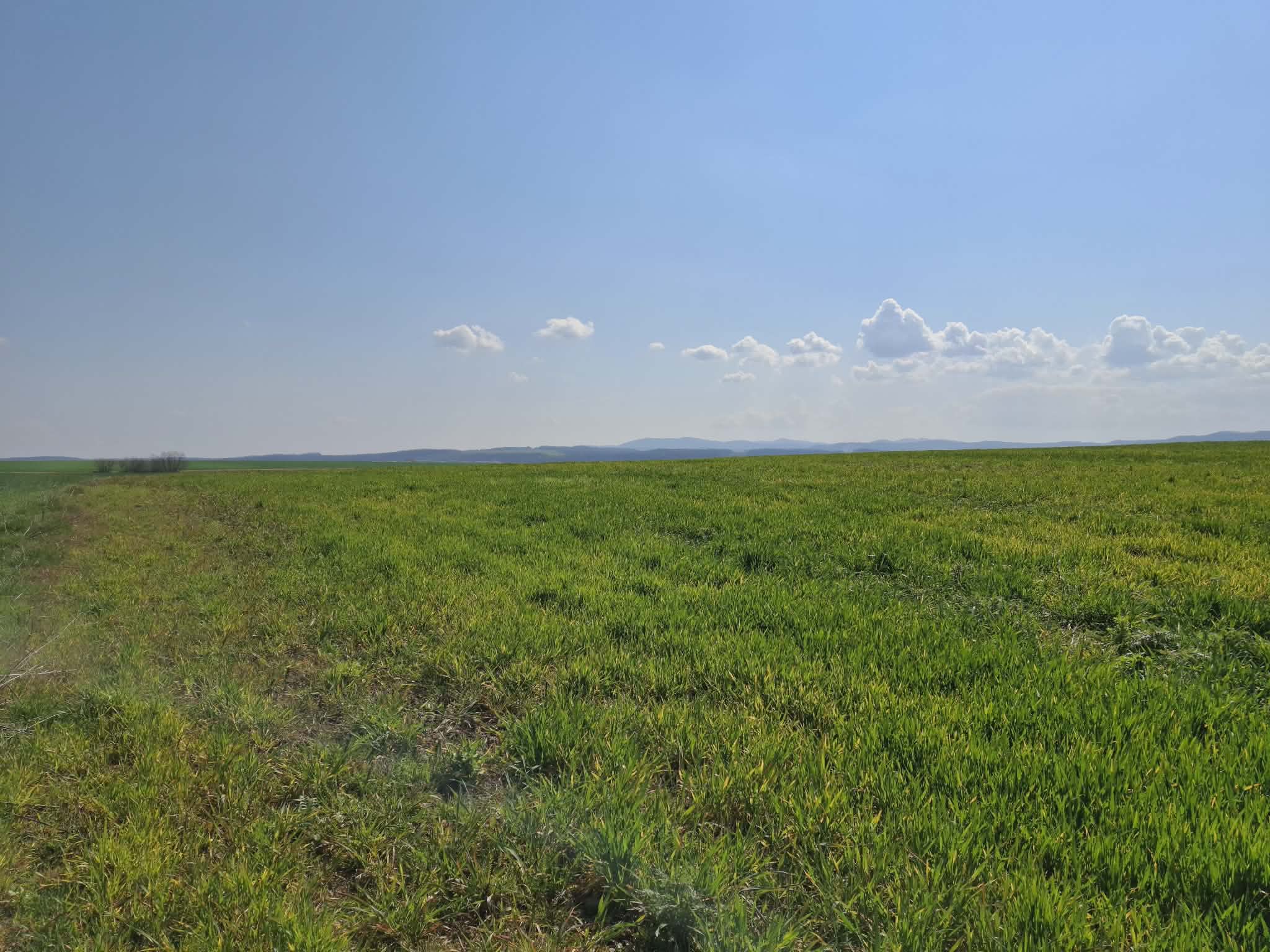 Mágocs Tanyawoning met gastenverblijf #1580 - Image 37