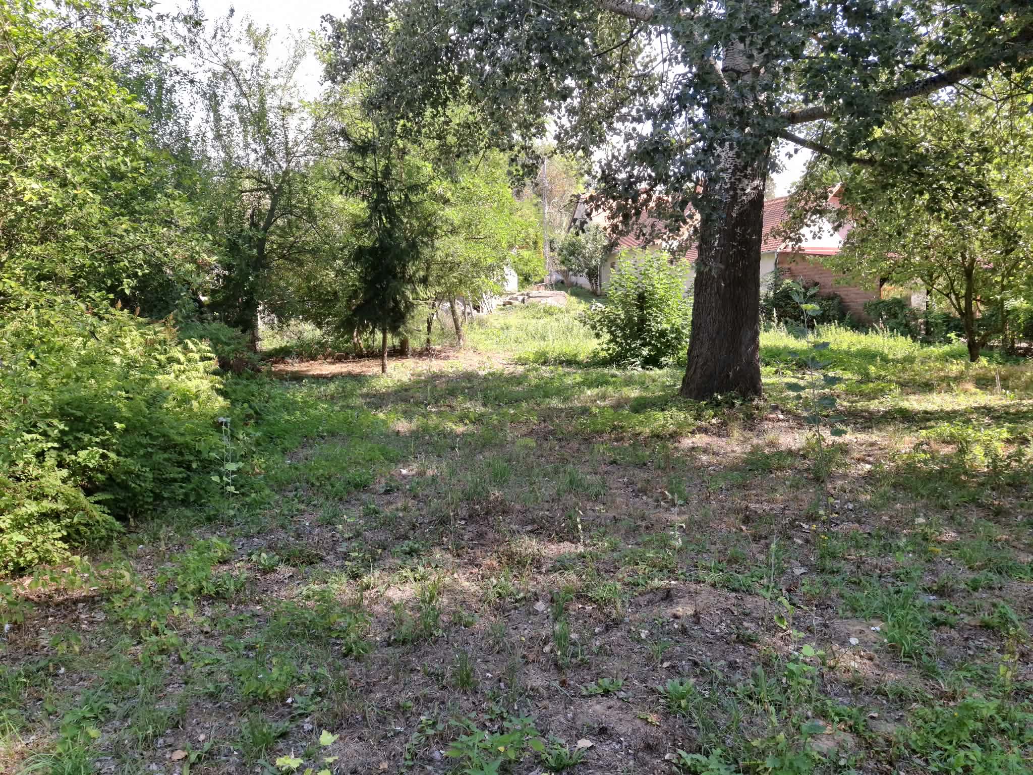 Szentkatalin compleet te renoveren woning in een groene omgeving #1603 - Image 17
