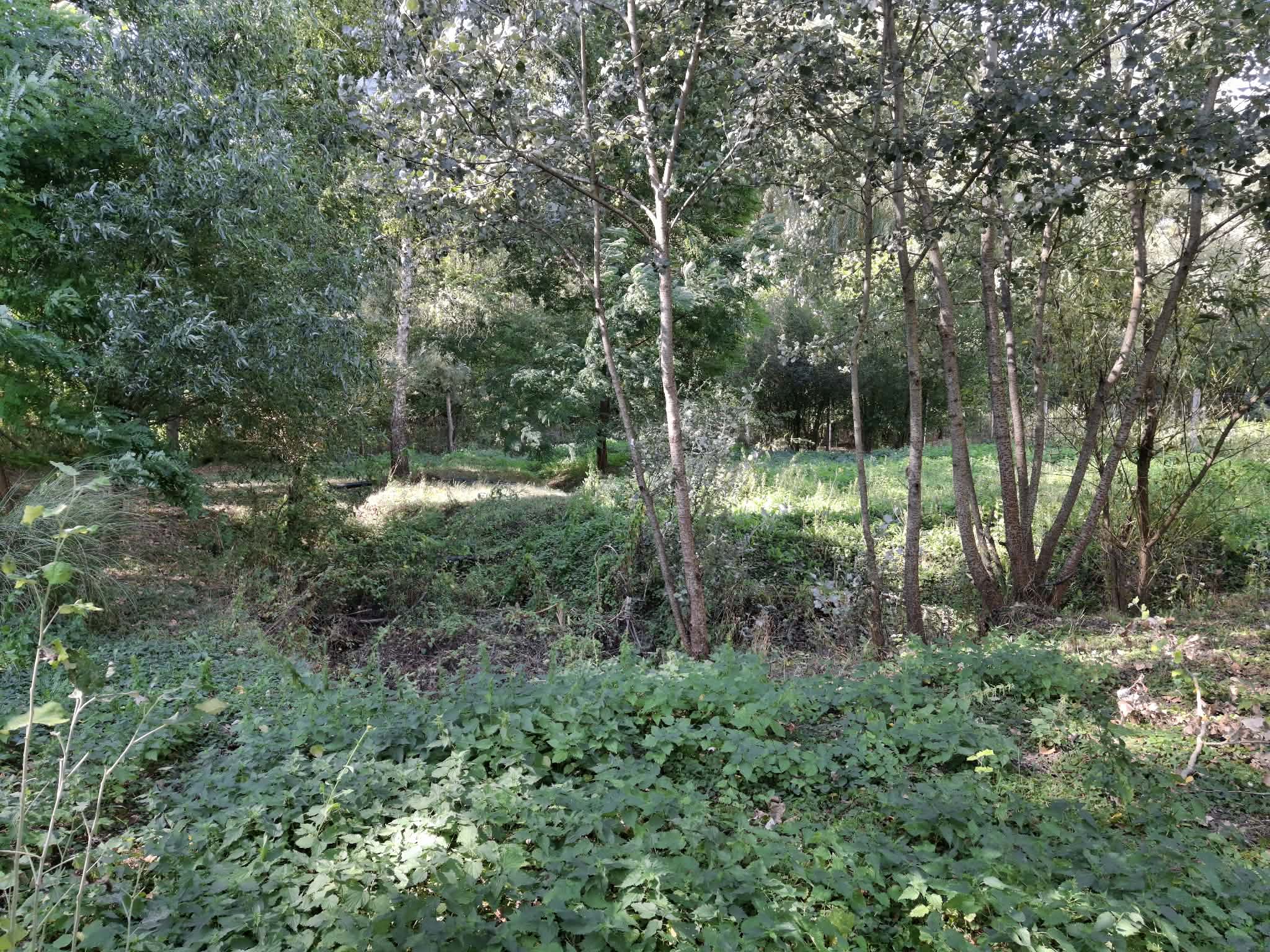 Szentkatalin compleet te renoveren woning in een groene omgeving #1603 - Image 16